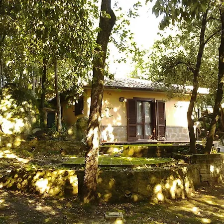 Il Borgo Alberato 公寓式酒店 皮蒂利亚诺