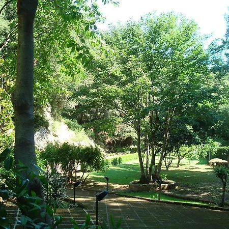 Il Borgo Alberato 皮蒂利亚诺